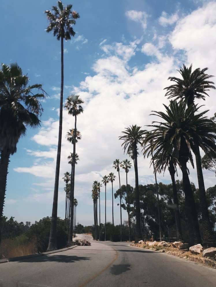 Processed with VSCO with e5 preset